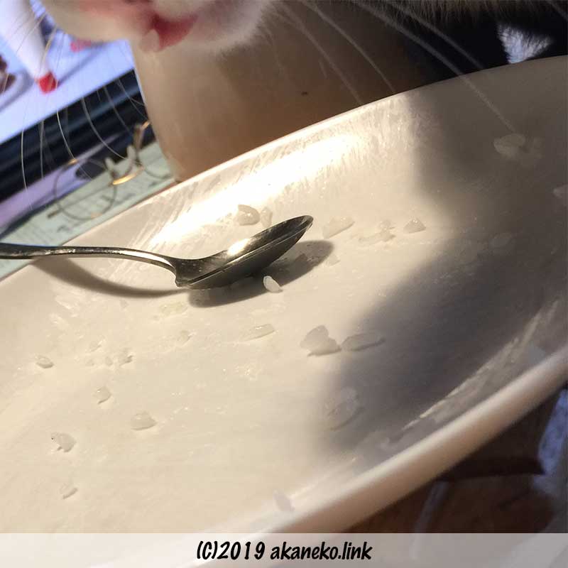 皿に残ったご飯粒を舐めとった猫の舌