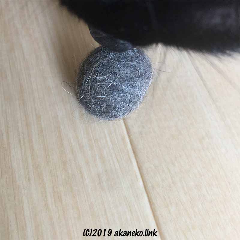 猫の毛で作った猫毛玉を嗅ぐ黒猫の鼻