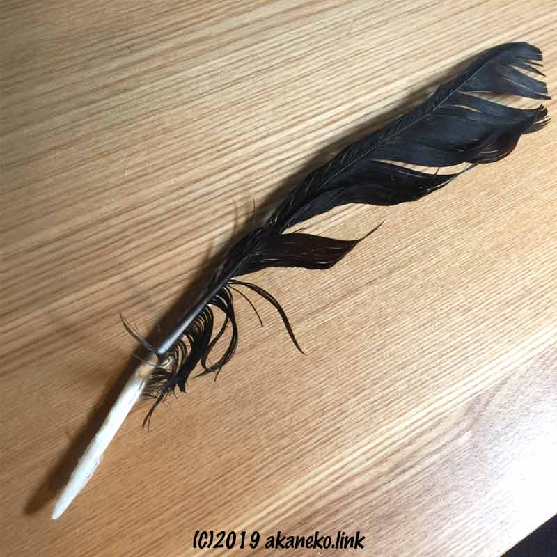 机の上の傷んだカラスの黒い羽
