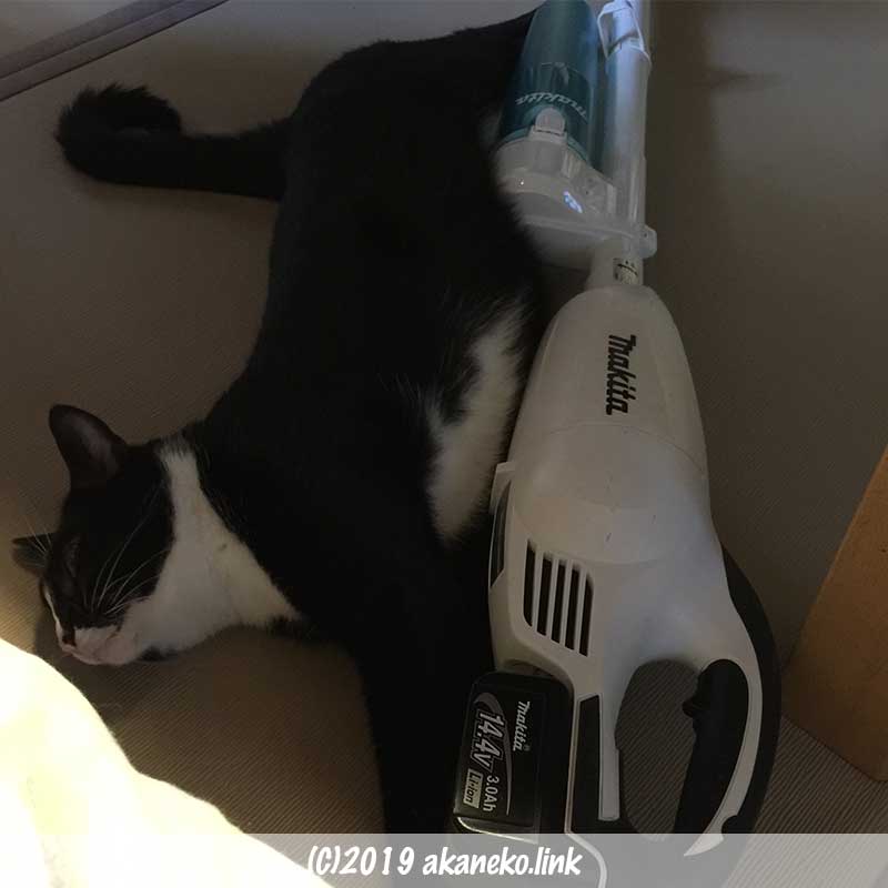 マキタの掃除機にぴったり寄り添って寝る猫