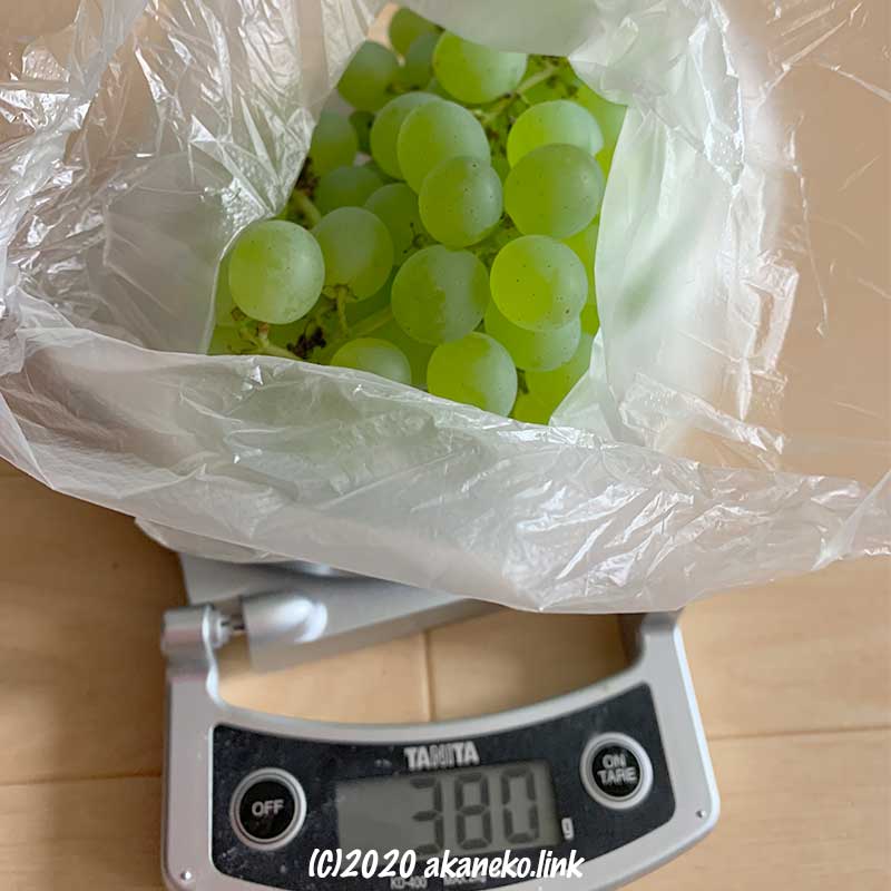 収穫した葡萄の重さを計る