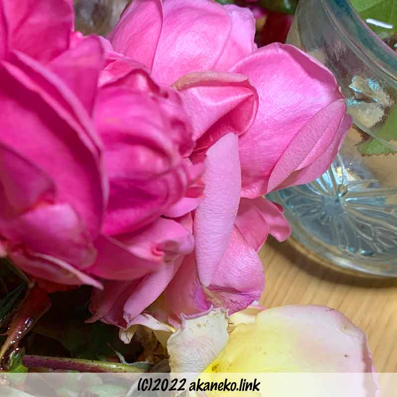 花瓶から放り出されたバラの花