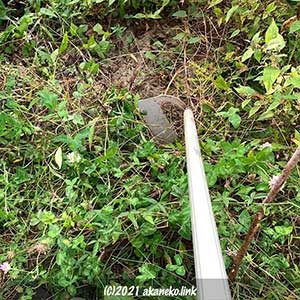 ステン窓ホーで草削り