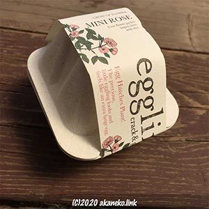 エッグリングの外箱