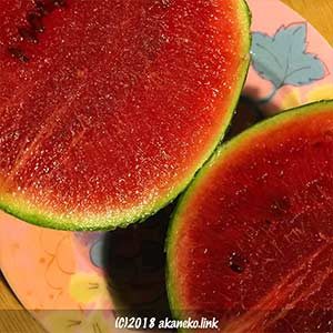 小玉スイカの断面